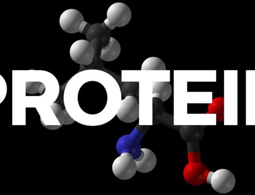 Protein, Muscle Protein Synthesis, and Strength Training
